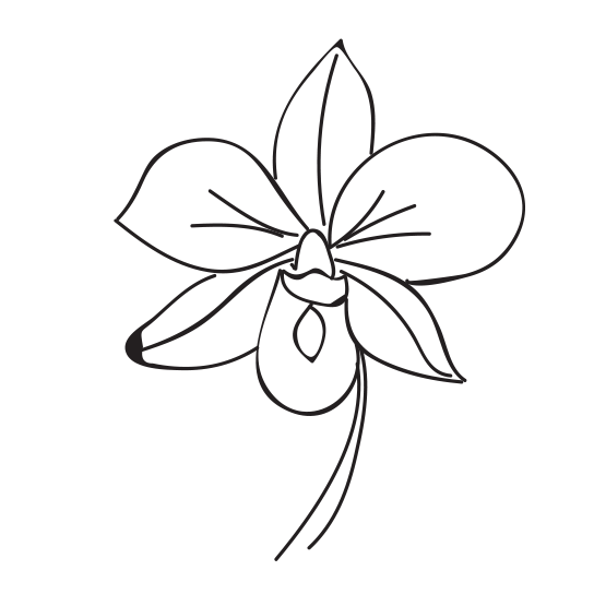single-flower